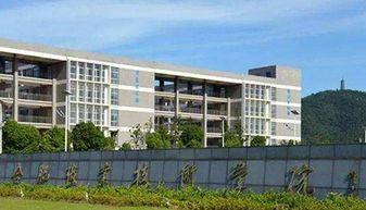 伊春职业学院爆料视频播放,揭秘校园内幕  第1张